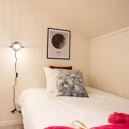 Lodge Vollsnes Hjelle